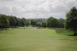 20220526_074831000_iOS